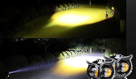 Owl Shape Importe Led Fog Light